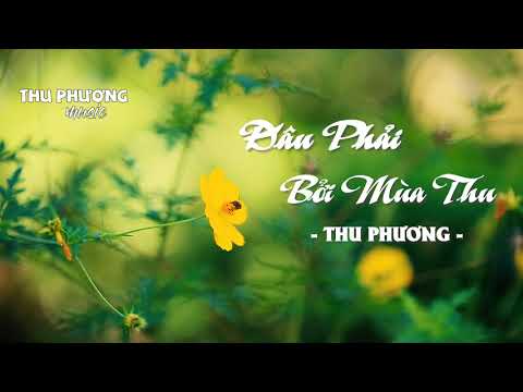 ĐÂU PHẢI BỞI MÙA THU