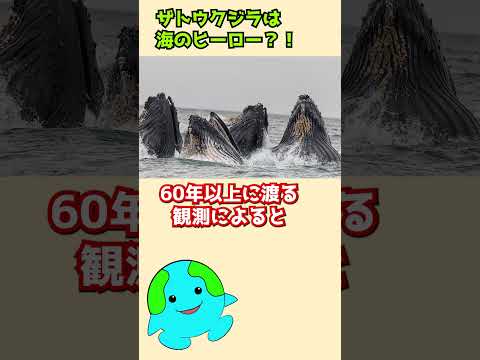 IUCN分類における絶滅の危険性を示す図。