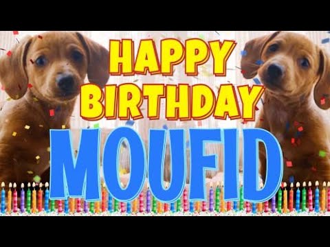 Happy Birthday Moufid! ( Funny Talking Dogs ) What Is Free On My Birthday