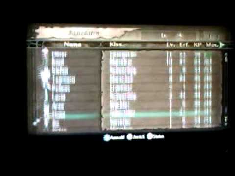 All characters with max level in Fire Emblem: Radiant Dawn