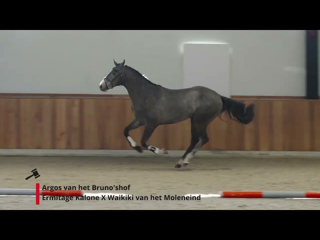 Argos van het Bruno'shof