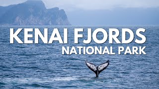 Kenai Fjords National Park Boat Tour + Glaciers & RARE Bubble Feeding Whales