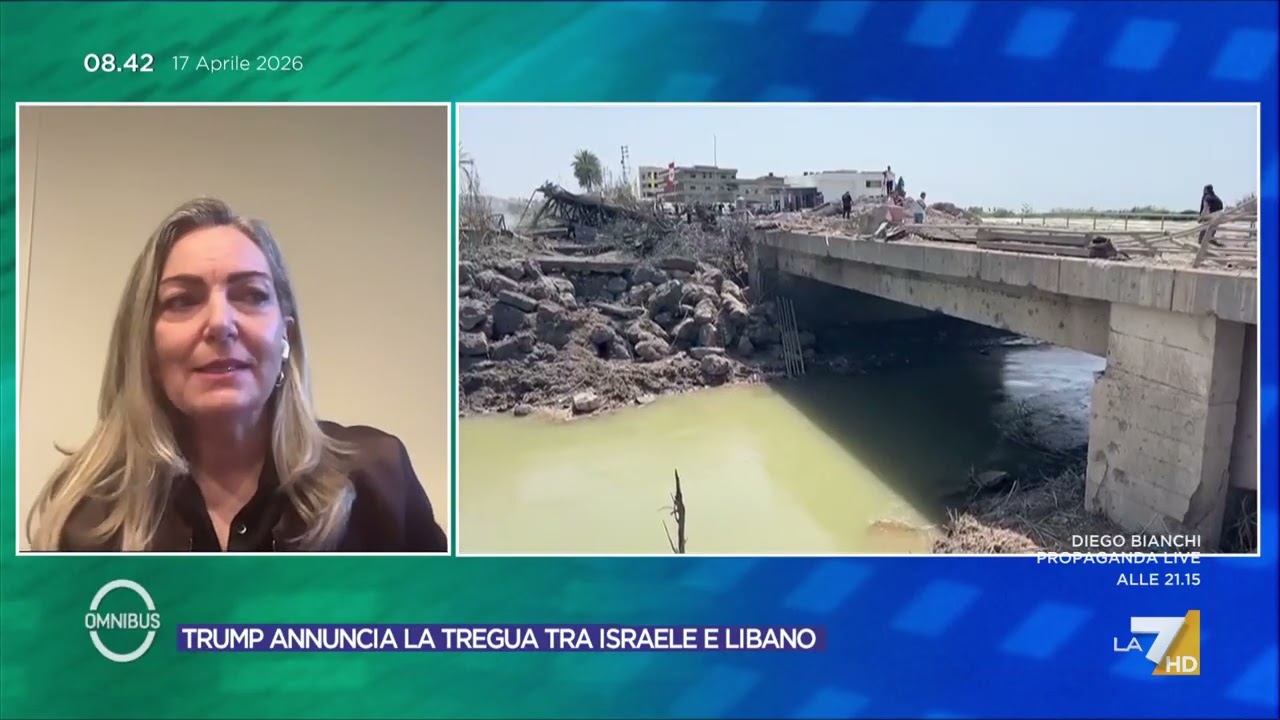 Zappia: "Una coalizione per lo Stretto di Hormuz, ma servono mandato e via diplomatica"