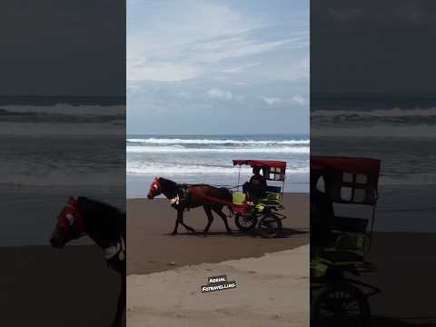 Kuda ini lari diatas laut? 😲 #viral #shorts