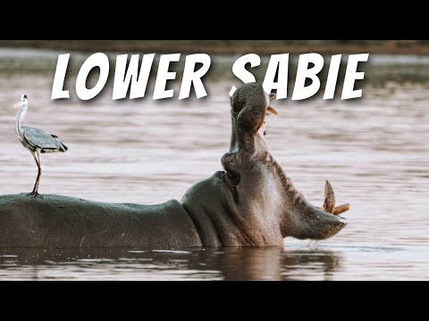 Kruger National Park - Day 10: Lower Sabie. MISTY MORNING IN LOWER SABIE!