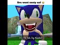 Sonic The Zesty Hedgehog Sonic Memes