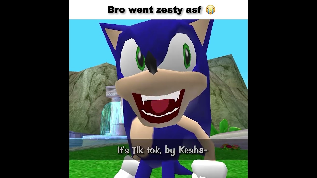 Sonic The zesty Hedgehog #sonic #memes