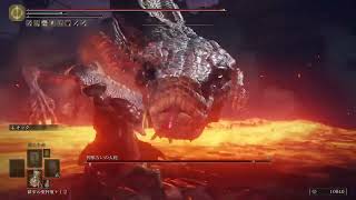 【ELDEN RING】ライカード　素手縛り