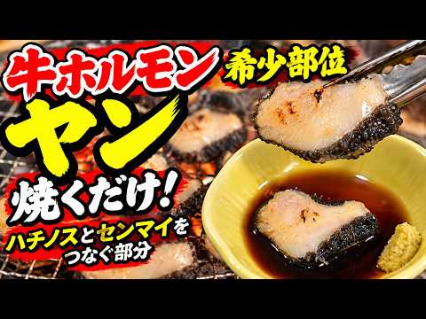 【希少ホルモン「ヤン」】ハチノスとセンマイの間！焼いてわさびで食べる！