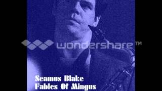 Seamus Blake - Gunslinging Bird