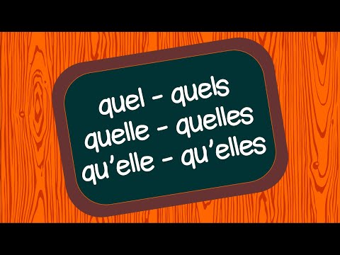 WHAT-WHAT-WHAT-WHAT-WHAT-WHAT - Grammatical homophones