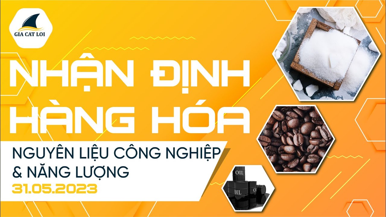 Nhận Định Hàng Hoá Năng Lượng & Nguyên Liệu Công Nghiệp Ngày 31/05/2023