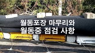 꿀벌 월동포장 마무리와 월동중 점검사항 #월동벌 #양봉