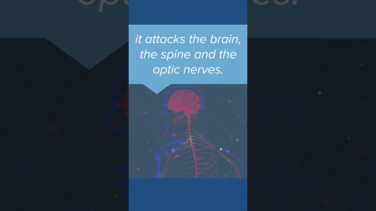 Multiple Sclerosis (MS) - A Basic Explanation