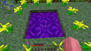 マイクラ　黄昏の森MOD生放送　雑談おｋ！
