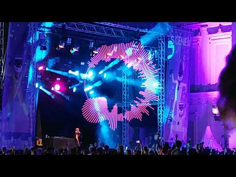 Best Dance Mashup with Avicii, Krewella, Post Malone, Kygo and more