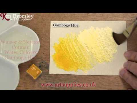 Winsor & Newton Cotman paint Gamboge Hue 266