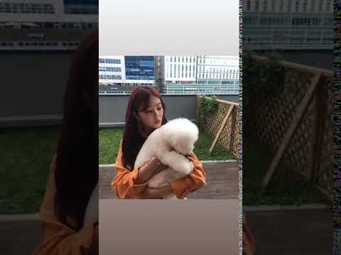 190829 High.D - Instagram Video