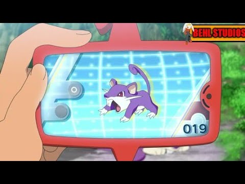 Rattata pokedex entry
