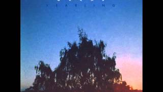 Orcas - Infinite Stillness