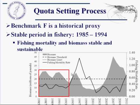 ASMFC - Northern Shrimp Science Meeting Part 5