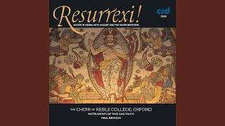 Missa brevis in C Major, K. 258 "Piccolomini": V. Benedictus