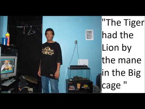 Tiger vs Lion - Lion Fanboys Say the Darndest Things Part 3