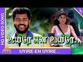 Ullam Kollai Poguthae Tamil Movie Uyirae En Uyirae Video Song Prabhu Deva Anjala Zaveri