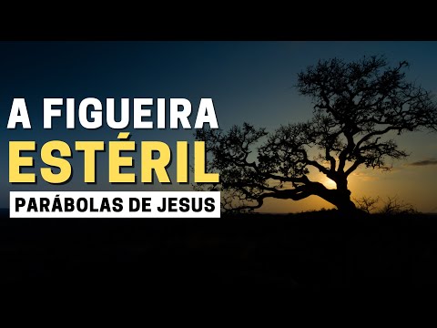 THE MEANING OF THE PARABLE OF THE BARREN FIG TREE