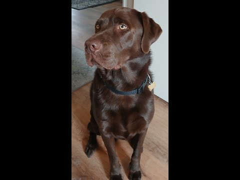 Merry Christmas Buddy.