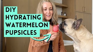 Homemade Dog Popsicles for Hot Days | Easy DIY Hydrating Treats