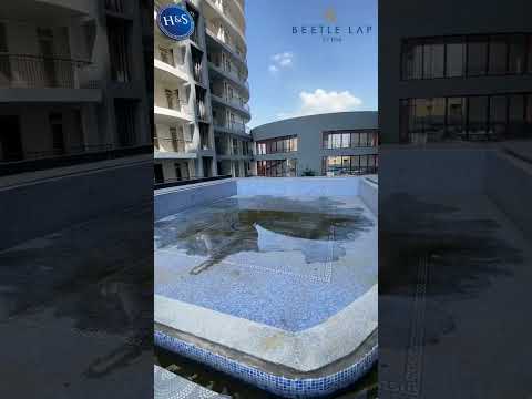 3D Tour Of Home And Soul Beetle Lap