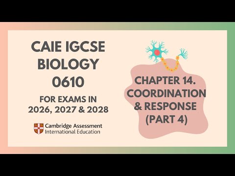 14. Coordination and response(Part 4)(4/4)(Cambridge IGCSE Biology 0610 for exams in 2026,2027,2028)