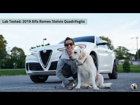 2019 Alfa Romeo Stelvio Quadrifoglio: Andie the Lab Review! Video