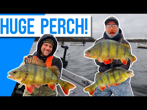INSANE PERCH FISHING With LURES! 2 Huge PB'S! Ft Thom Hunt