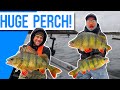 INSANE PERCH FISHING With LURES! 2 Huge PB'S! Ft Thom Hunt