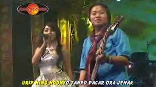 Download lagu Rina Amelia - Tanpo Bojo Ra Kepenak | Dangdut ( Music Video) mp3 Download lagu Rina Amelia - Tanpo Bojo Ra Kepenak | Dangdut ( Music Video) mp3