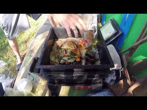 Worm Factory 360 and Uncle Jim's Worms