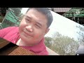 นิสสัน