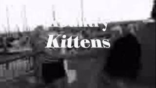 KOUNTRY KITTENS WITH LOS SHIMMY SHAKERS!
