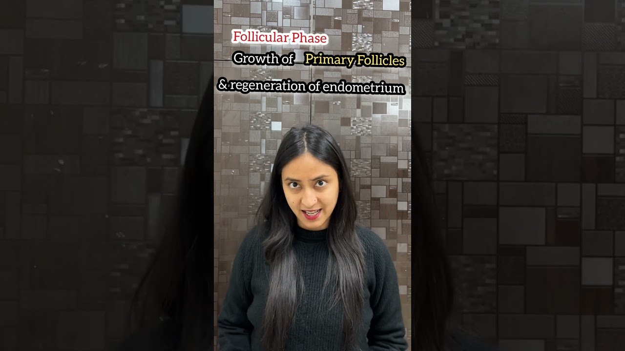 Menstrual Cycle | Human Reproduction #shorts #biology #neet