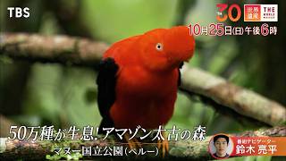 『世界遺産』10/25(日) マヌー国立公園 〜 50万種が生息！アマゾン太古の森【TBS】