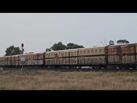 2PM9 SCT Grey Ghost to Melbourne,  18/4/24, Ararat South