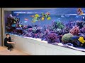 Most Expensive Aquarium In The World