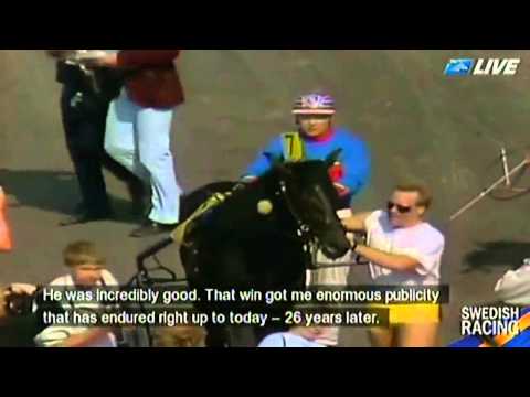 Meadow Road_Elitloppet Winner 1985_Tobjörn Jansson_Reportage