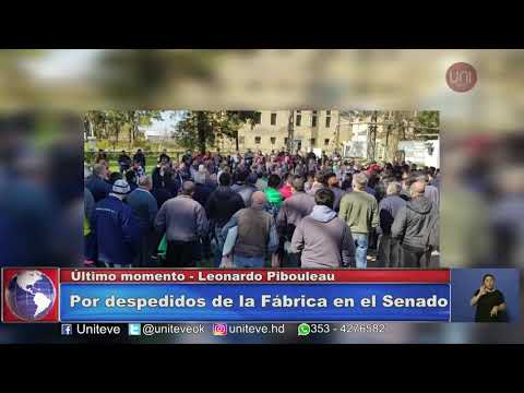 Fábrica Militar: Avanza en el Senado proyecto para reincorporar a trabajadores