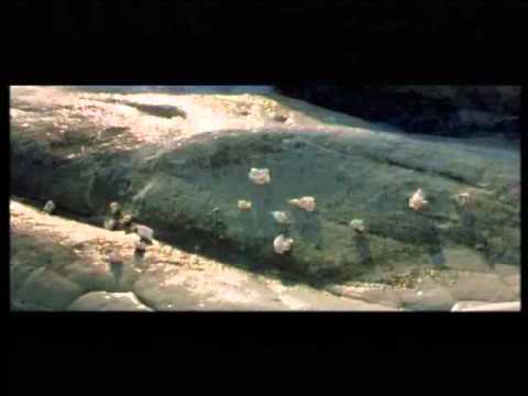 Zoran Džiknić Džile - Malena spot.flv