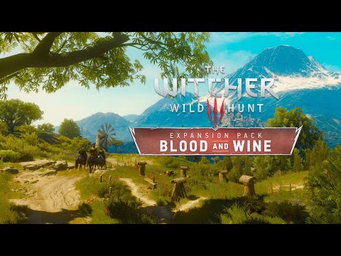 The Witcher 3 (ps5) pt48