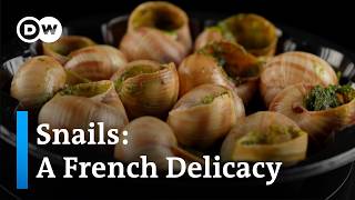 Escargot: Why snails are a popular specialty in France
