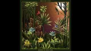 Man Is Not A Bird   Tendresse